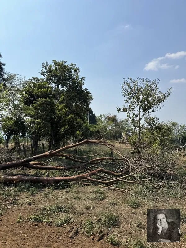 Ideal DESARROLLO/ Terreno en Venta Km 25.5 CES — Terreno en Venta en km 21-25, Carretera a El Salvador, Guatemala, Ciudad — foto 7 de 11