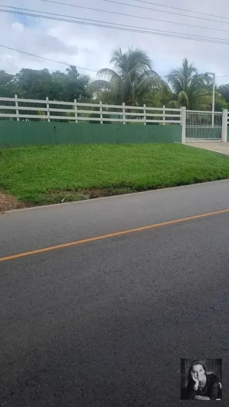 ORATORIO / Km.92 Carretera Salvador Ideal para hacer bodegas o lotificar — Terreno en Venta en Pueblo Nuevo Viñas, Santa Rosa — foto 3 de 5