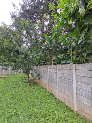 Terreno en venta San Lucas Sacatepequez — Terreno en Venta en Santiago Sacatepéquez, Sacatepéquez — miniatura 9 de 13