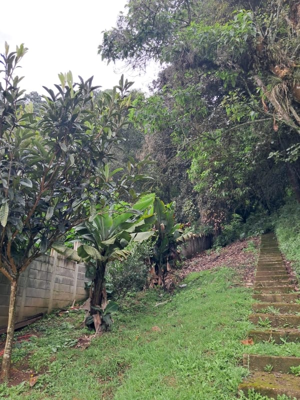 Terreno en venta San Lucas Sacatepequez — Terreno en Venta en Santiago Sacatepéquez, Sacatepéquez — foto 6 de 13