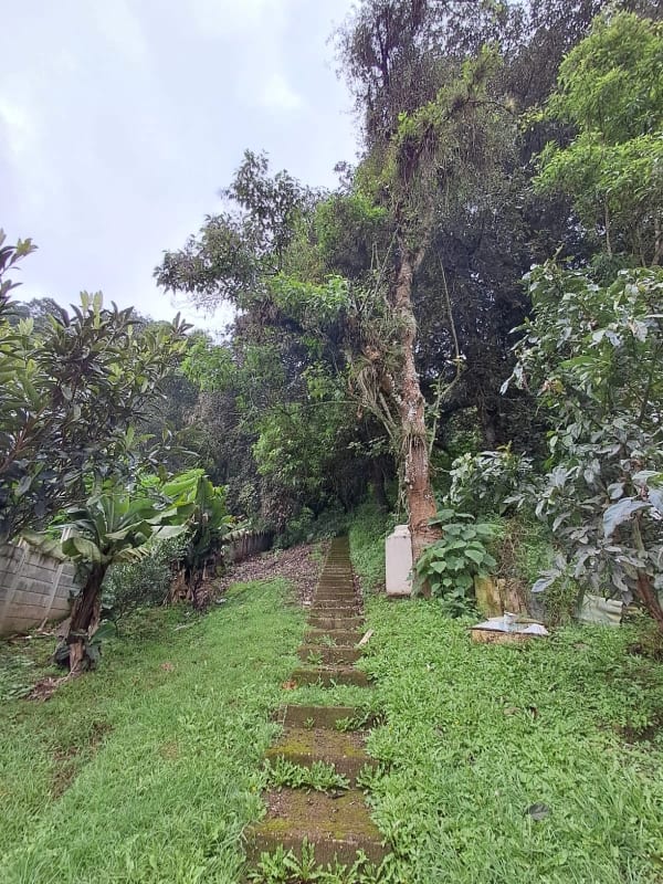 Terreno en venta San Lucas Sacatepequez — Terreno en Venta en Santiago Sacatepéquez, Sacatepéquez — foto 5 de 13