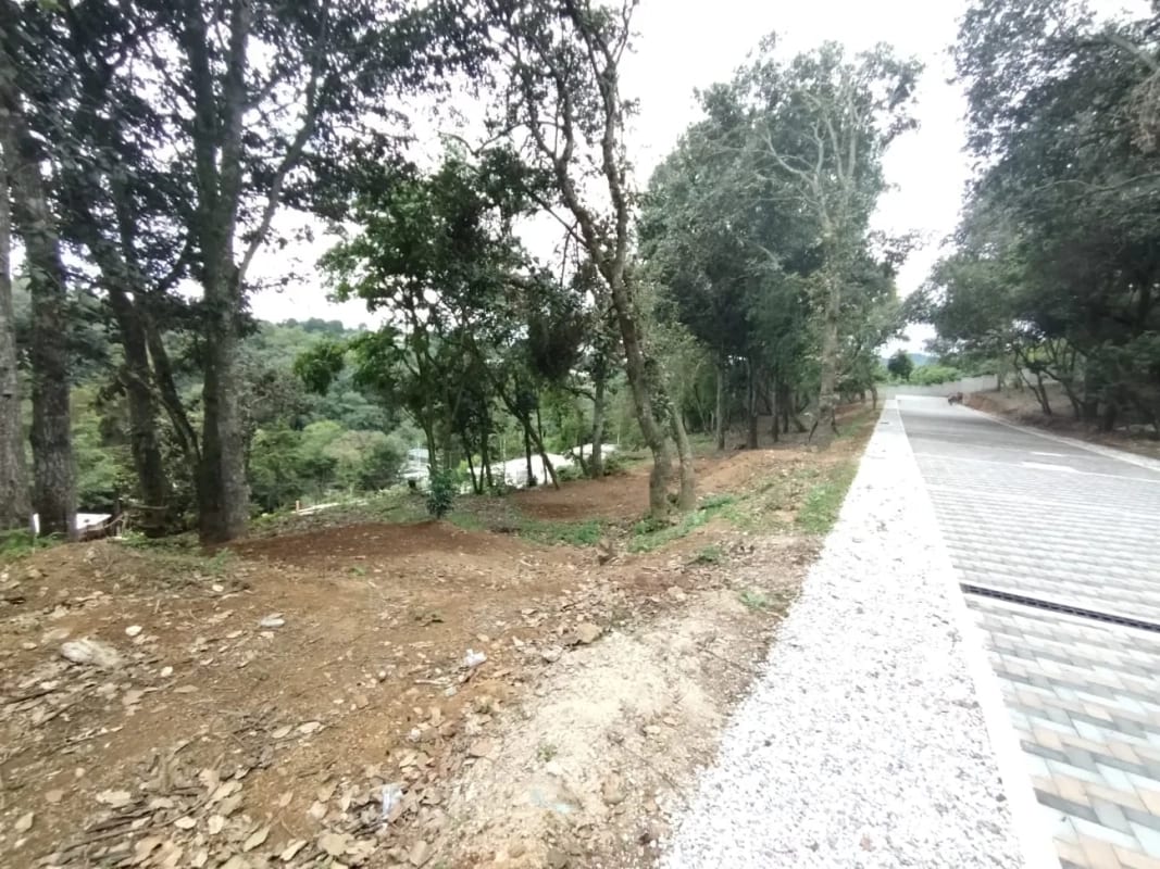 Terrenos en Venta en Santiago Sacatepequez — Terreno en Venta en Santiago Sacatepéquez, Sacatepéquez — foto 6 de 8