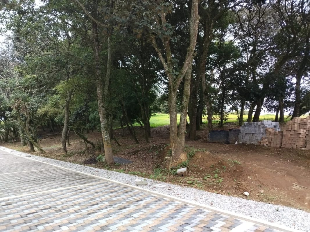 Terrenos en Venta en Santiago Sacatepequez — Terreno en Venta en Santiago Sacatepéquez, Sacatepéquez — foto 5 de 8