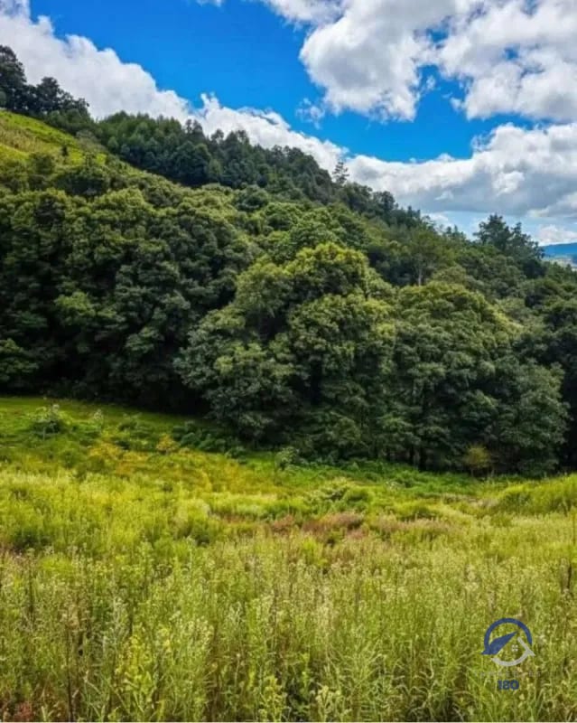 Amplios terrenos en venta en Encinos de Tecpán, Naturaleza, elegancia y exclusividad en un mismo lugar. ¡Precios de Lanzamiento! — Terreno en Venta en Tecpán, Chimaltenango — foto 3 de 16
