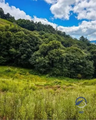 Amplios terrenos en venta en Encinos de Tecpán, Naturaleza, elegancia y exclusividad en un mismo lugar. ¡Precios de Lanzamiento! — Terreno en Venta en Tecpán, Chimaltenango — miniatura 3 de 16