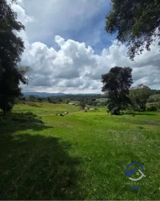 Amplios terrenos en venta en Encinos de Tecpán, Naturaleza, elegancia y exclusividad en un mismo lugar. ¡Precios de Lanzamiento! — Terreno en Venta en Tecpán, Chimaltenango — miniatura 2 de 16