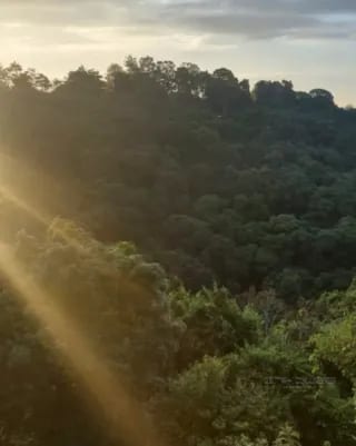 TERRENO EN VENTA ZONA 16, HACIENDA REAL — Terreno en Venta en Zona 16, Guatemala, Ciudad — miniatura 4 de 5