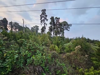 VENDO 11 MANZANAS DE TERRENO PARA DESARROLLO - UBICADO EN QUINTA LOS ENCINOS ZONA 7 MIXCO — Terreno en Venta en Zona 7 Mixco, Guatemala, Ciudad — miniatura 1 de 8