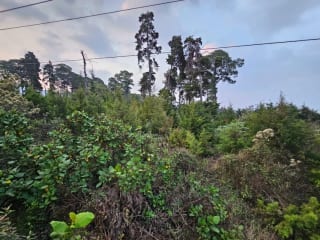 VENDO 11 MANZANAS DE TERRENO PARA DESARROLLO - UBICADO EN QUINTA LOS ENCINOS ZONA 7 MIXCO — Terreno en Venta en Zona 7 Mixco, Guatemala, Ciudad — miniatura 6 de 8