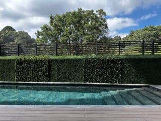Apartamento en alquiler Residencias Spazio Zona 15 — Apartamento en Alquiler en Spazio, Zona 15, Guatemala, Ciudad — miniatura 5 de 16