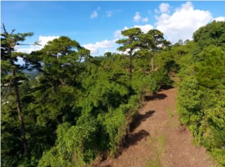 Terreno Premium de 15,960m²  en Zona 16: Ideal para Desarrollo — Terreno en Venta en El Pulté, Zona 16, Guatemala, Ciudad — miniatura 1 de 15