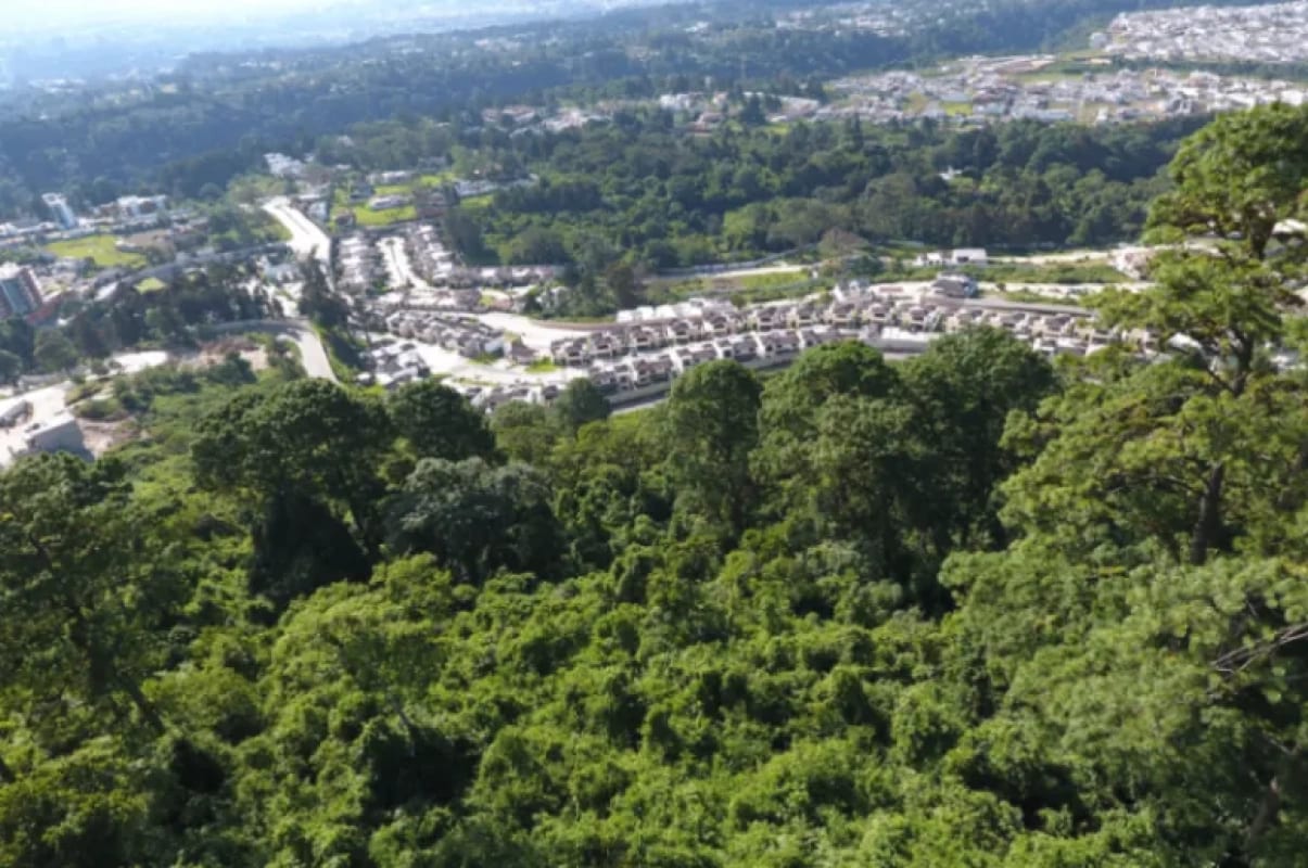 Terreno Premium de 15,960m²  en Zona 16: Ideal para Desarrollo — Terreno en Venta en El Pulté, Zona 16, Guatemala, Ciudad — foto 10 de 15