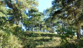 Terreno Premium de 15,960m²  en Zona 16: Ideal para Desarrollo — Terreno en Venta en El Pulté, Zona 16, Guatemala, Ciudad — miniatura 7 de 15