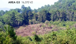 Terreno Premium de 15,960m²  en Zona 16: Ideal para Desarrollo — Terreno en Venta en El Pulté, Zona 16, Guatemala, Ciudad — miniatura 4 de 15