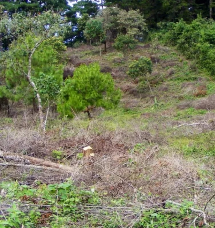 Terreno Premium de 15,960m²  en Zona 16: Ideal para Desarrollo — Terreno en Venta en El Pulté, Zona 16, Guatemala, Ciudad — foto 3 de 15