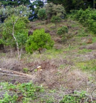 Terreno Premium de 15,960m²  en Zona 16: Ideal para Desarrollo — Terreno en Venta en El Pulté, Zona 16, Guatemala, Ciudad — miniatura 3 de 15