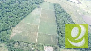 Finca de 20 Manzanas Planas en Venta en CAES Jocotillo — Terreno en Venta en Carretera a El Salvador, Guatemala, Ciudad — miniatura 9 de 9