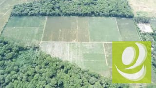 Finca de 20 Manzanas Planas en Venta en CAES Jocotillo — Terreno en Venta en Carretera a El Salvador, Guatemala, Ciudad — miniatura 8 de 9