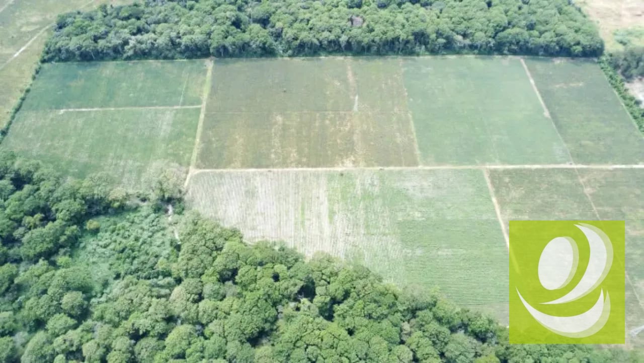 Finca de 20 Manzanas Planas en Venta en CAES Jocotillo — Terreno en Venta en Carretera a El Salvador, Guatemala, Ciudad — foto 7 de 9