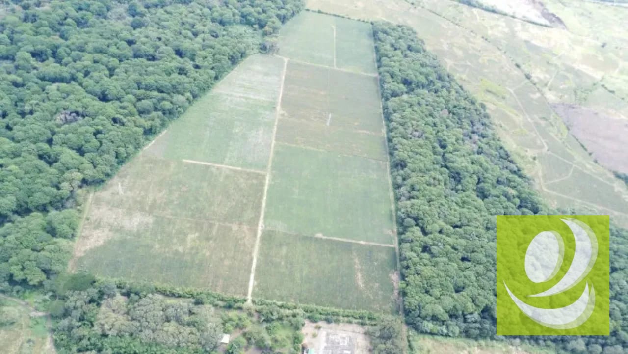 Finca de 20 Manzanas Planas en Venta en CAES Jocotillo — Terreno en Venta en Carretera a El Salvador, Guatemala, Ciudad — foto 6 de 9