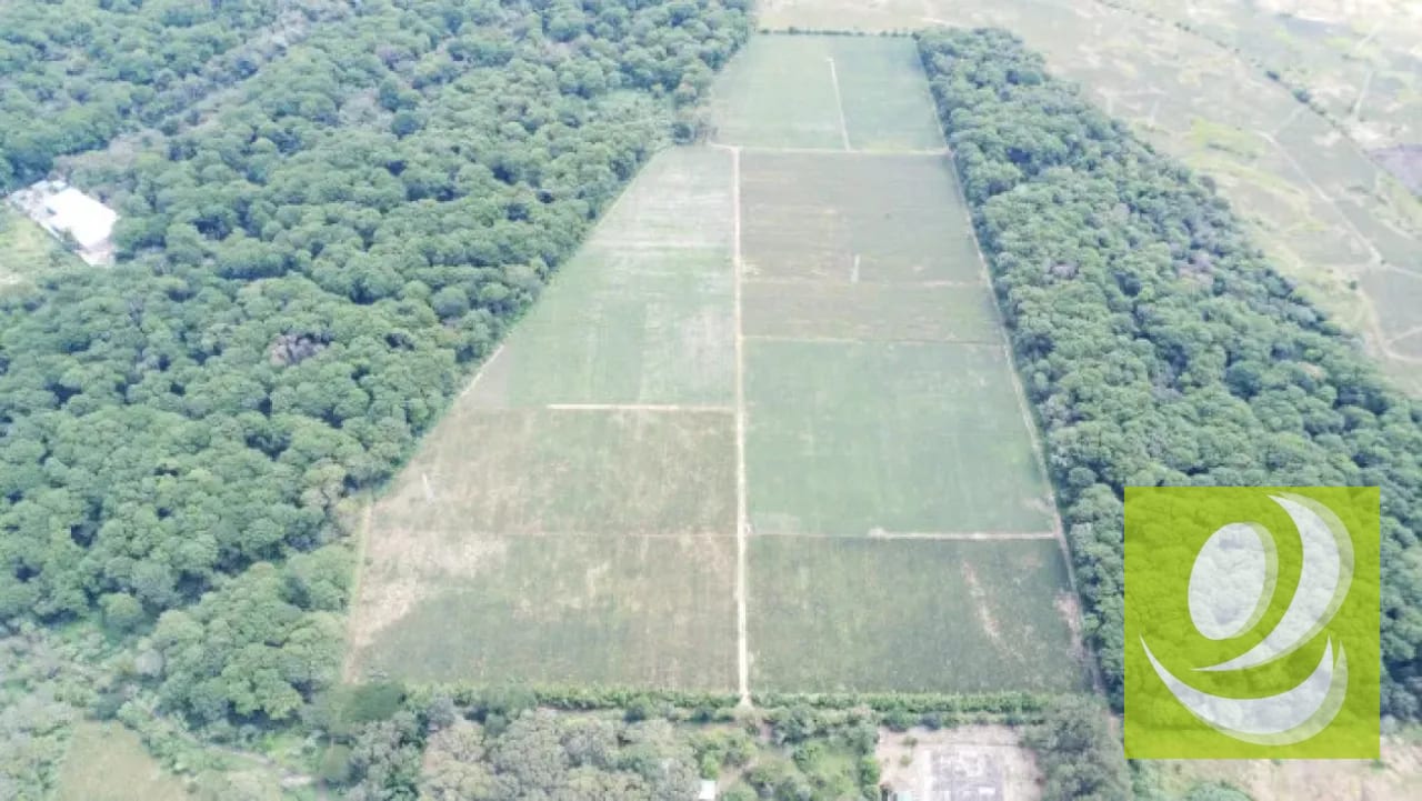 Finca de 20 Manzanas Planas en Venta en CAES Jocotillo — Terreno en Venta en Carretera a El Salvador, Guatemala, Ciudad — foto 3 de 9