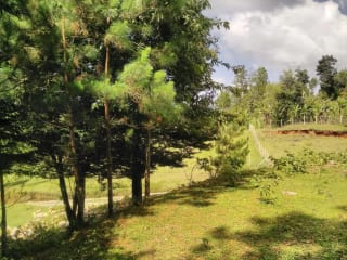Santuario Natural de 16 Hectáreas con Río Propio - San Juan Chamelco, Alta Verapaz — Terreno en Venta en San Juan Chamelco, Alta Verapaz — miniatura 4 de 8