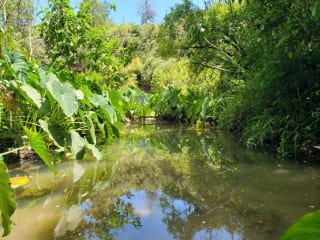Santuario Natural de 16 Hectáreas con Río Propio - San Juan Chamelco, Alta Verapaz — Terreno en Venta en San Juan Chamelco, Alta Verapaz — miniatura 2 de 8