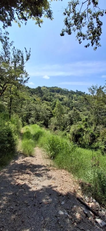 Terreno de 3.9 Manzanas con Alto Potencial Agrícola y Ganadero - San Pedro Ayampuc. — Terreno en Venta en San Pedro Ayampuc, Guatemala, Ciudad — foto 2 de 5