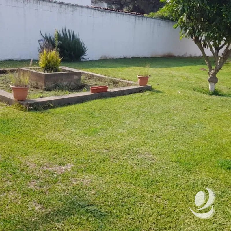 Oficina en Renta San Lucas Sacatepéquez con amplio jardín parqueo — Casa en Alquiler en San Lucas Sacatepéquez, Sacatepéquez — foto 5 de 10