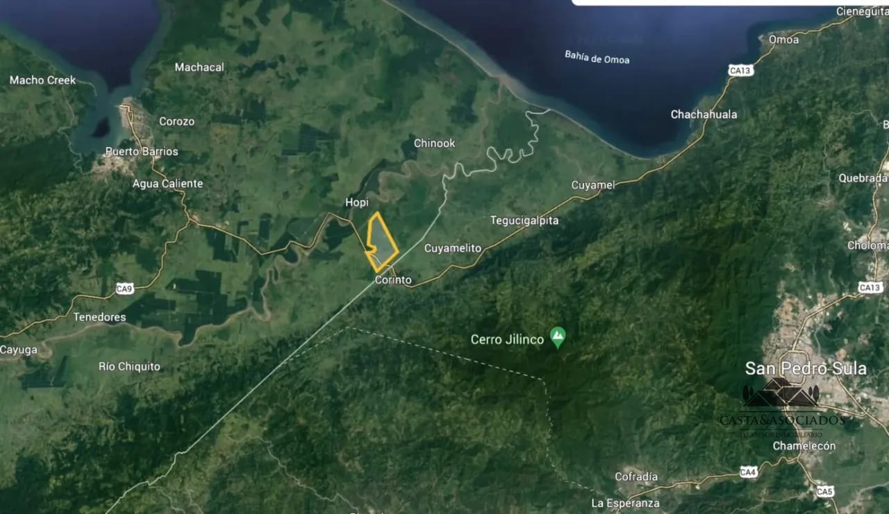 FINCA A 500m DE LA FRONTERA CON HONDURAS — Finca en Venta en Puerto Barrios, Izabal — foto 5 de 5