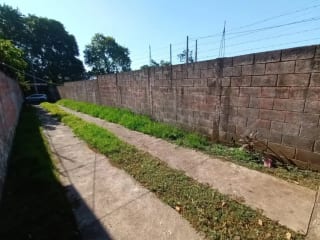 VENDO Terreno Santa Lucía Cotzumalguapa Cantón El Palmar 2 — Terreno en Venta en Santa Lucía Cotzumalguapa, Escuintla — miniatura 5 de 6