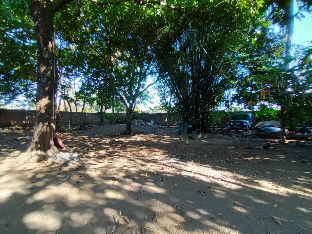 VENDO Terreno Santa Lucía Cotzumalguapa Cantón El Palmar 2 — Terreno en Venta en Santa Lucía Cotzumalguapa, Escuintla — foto 4 de 6