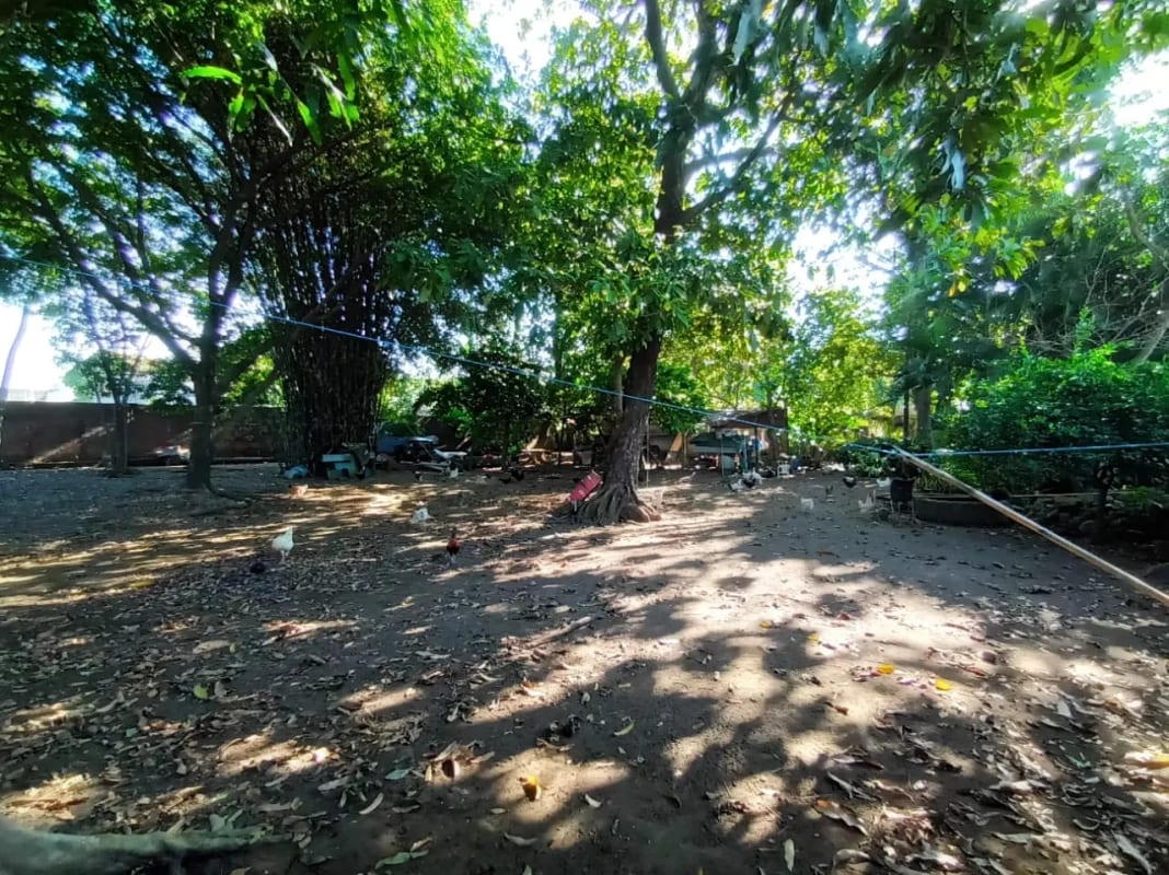 VENDO Terreno Santa Lucía Cotzumalguapa Cantón El Palmar 2 — Terreno en Venta en Santa Lucía Cotzumalguapa, Escuintla — foto 3 de 6