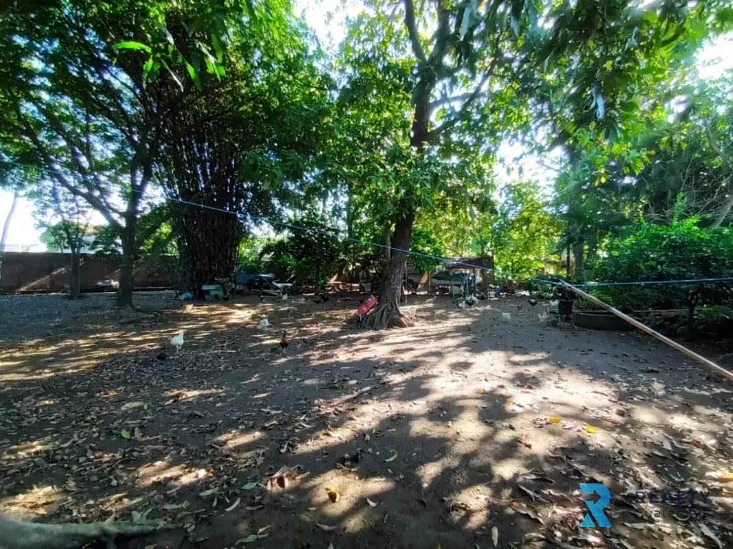 VENDO Terreno Santa Lucía Cotzumalguapa Cantón El Palmar 2 — Terreno en Venta en Santa Lucía Cotzumalguapa, Escuintla — foto 3 de 6