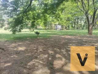 Terreno de 45mil v2 ideal para desarrollo. Punto inmejorable. — Terreno en Venta en Amatitlán, Amatitlán, Guatemala, Ciudad — miniatura 7 de 7