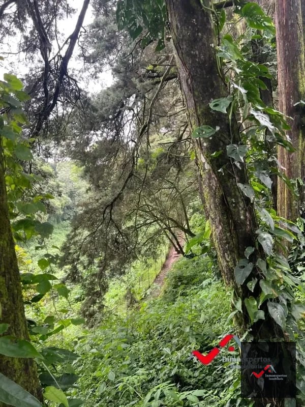 Terreno en venta Carretera a el Salvador km 22.5 Premier Campestre — Terreno en Venta en Carretera a El Salvador, Guatemala, Ciudad — foto 6 de 10