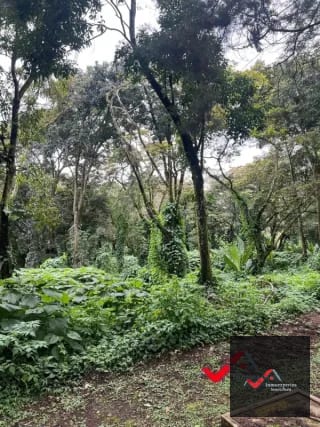 Terreno en venta Carretera a el Salvador  km 22.5  Premier Campestre — Terreno en Venta en Carretera a El Salvador, Guatemala, Ciudad — miniatura 4 de 10