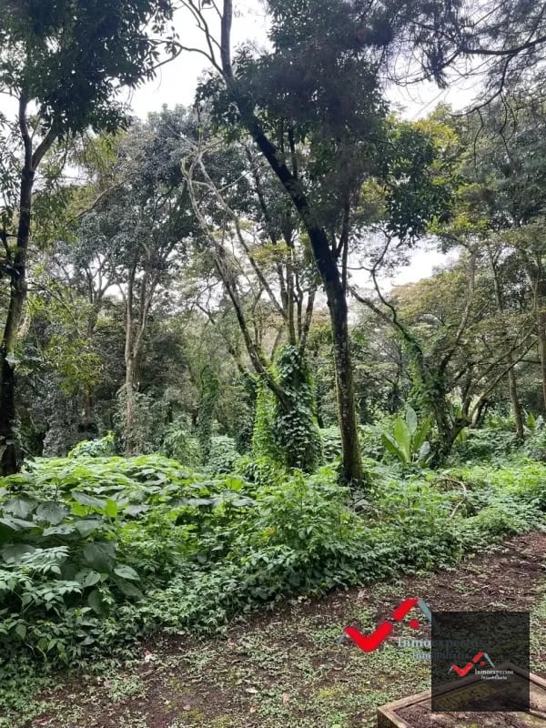 Terreno en venta Carretera a el Salvador km 22.5 Premier Campestre — Terreno en Venta en Carretera a El Salvador, Guatemala, Ciudad — foto 4 de 10