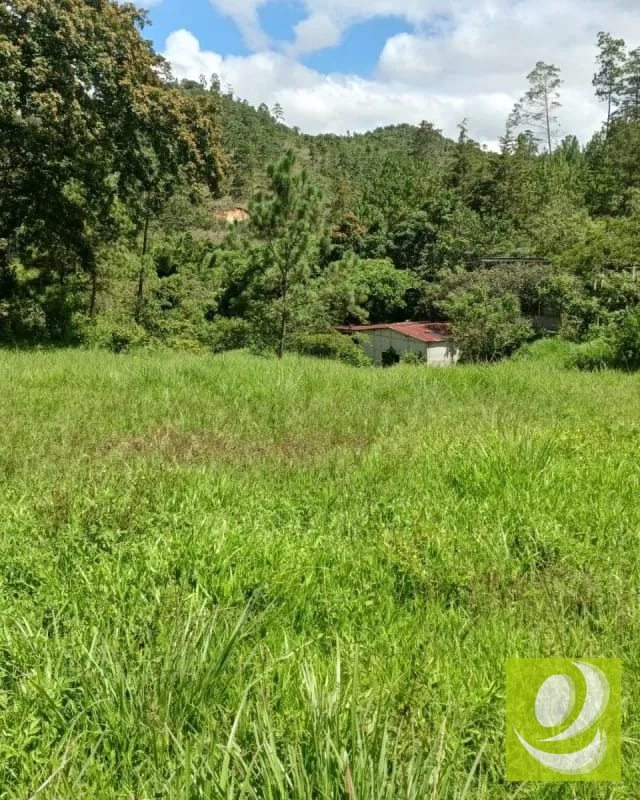 Finca en Venta de 300 Manzanas en San Raymundo — Finca en Venta en San Raimundo, Guatemala, Ciudad — foto 9 de 10
