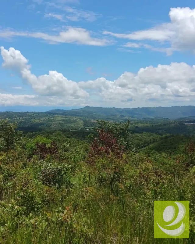 Finca en Venta de 300 Manzanas en San Raymundo — Finca en Venta en San Raimundo, Guatemala, Ciudad — foto 6 de 10