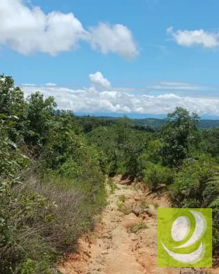 Finca en Venta de 300 Manzanas en San Raymundo — Finca en Venta en San Raimundo, Guatemala, Ciudad — miniatura 5 de 10