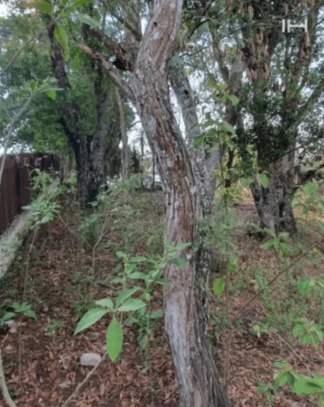 TERRENO EN VENTA ZONA 16, SAN GASPAR — Terreno en Venta en San Gaspar, Zona 16, Guatemala, Ciudad — foto 7 de 7