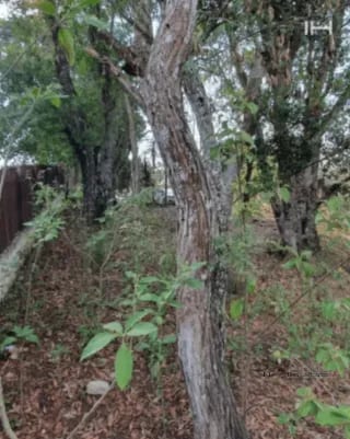 TERRENO EN VENTA ZONA 16, SAN GASPAR — Terreno en Venta en San Gaspar, Zona 16, Guatemala, Ciudad — miniatura 7 de 7