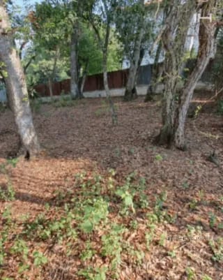TERRENO EN VENTA ZONA 16, SAN GASPAR — Terreno en Venta en San Gaspar, Zona 16, Guatemala, Ciudad — miniatura 6 de 7