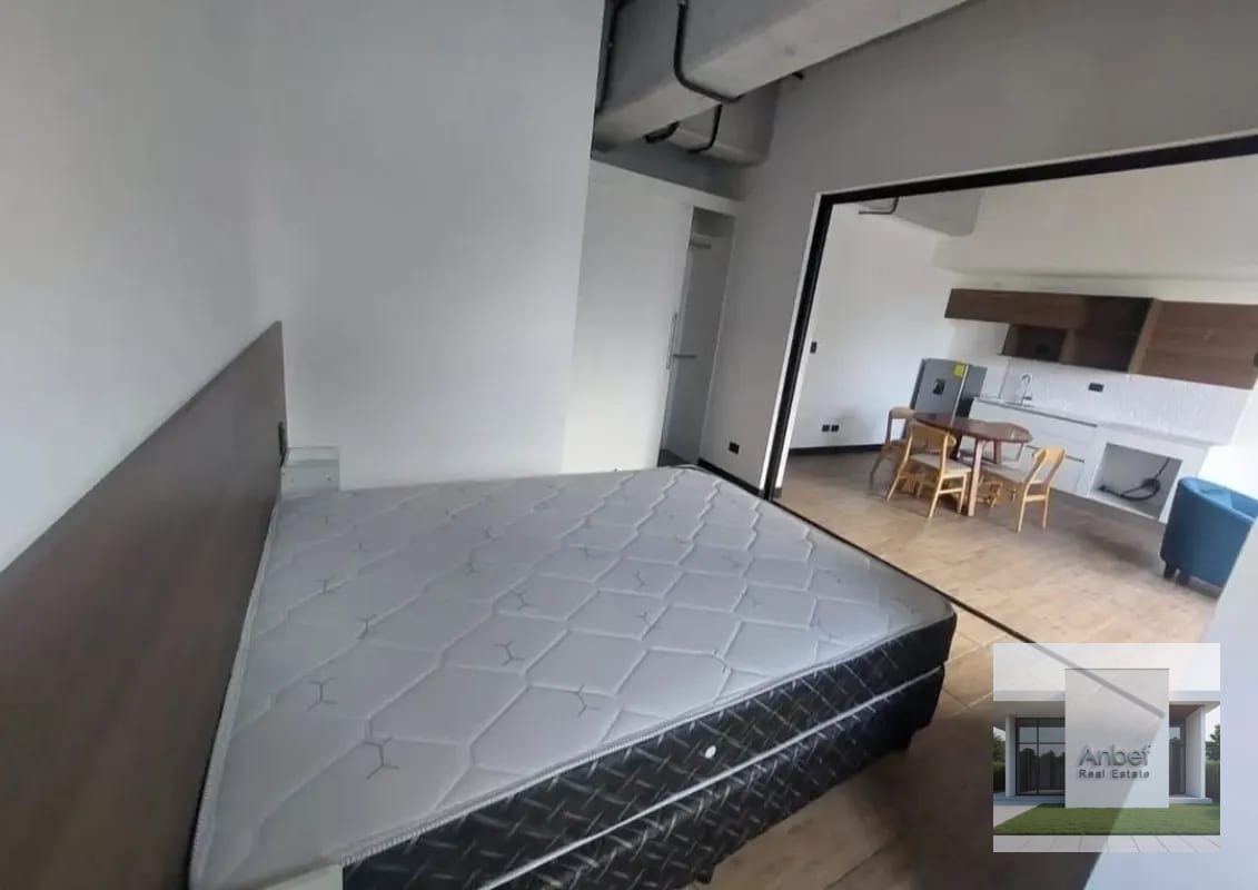 Venta Apartamentos Amueblados 1 y 2 Dormitorios Zona 10 — Apartamento en Venta en Eon, Zona 10, Guatemala, Ciudad — foto 4 de 5