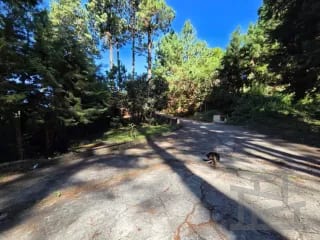 🏞️ Terreno en venta – Kanajuyú, Zona 16 — Terreno en Venta en Kanajuyú, Zona 16, Guatemala, Ciudad — miniatura 7 de 9