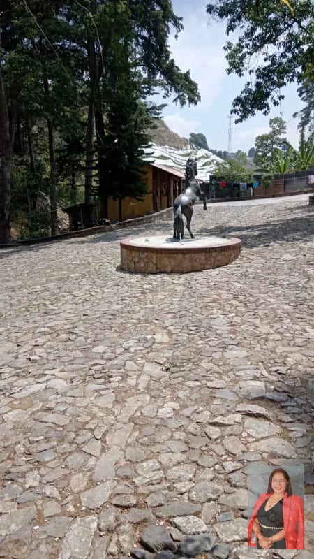 9 manzanas San José Pinula las Anonas — Finca en Venta en San José Pinula, Guatemala, Ciudad — foto 6 de 12
