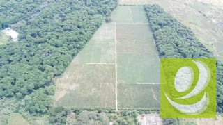 FINCA DE 17 MZ EN VENTA CERCA DE CARRETERA A EL SALVADOR — Finca en Venta en Carretera a El Salvador, Guatemala, Ciudad — miniatura 2 de 5