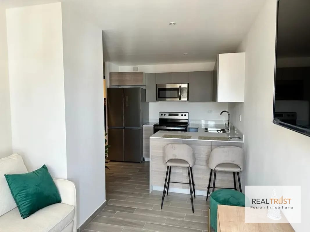 Apartamento amueblado zona 10 — Apartamento en Alquiler en Parque 10, Zona 10, Guatemala, Ciudad — foto 4 de 17