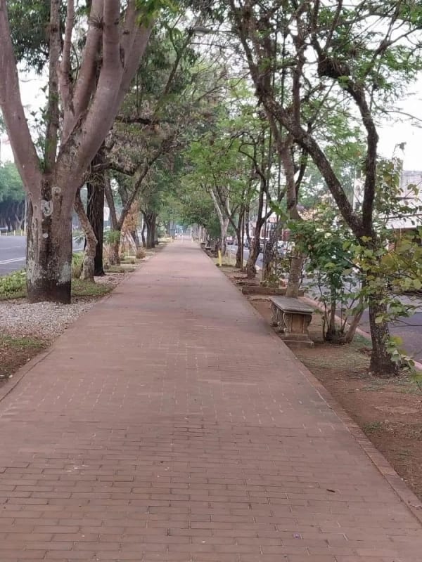 VENDO APARTAMENTO EN ZONA 2 — Apartamento en Venta en Serene, Zona 2, Guatemala, Ciudad — foto 3 de 17